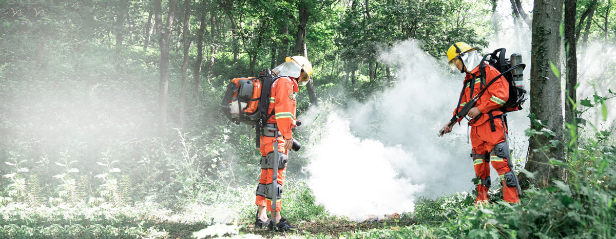 ���ػ����������